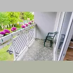 Sweet Family